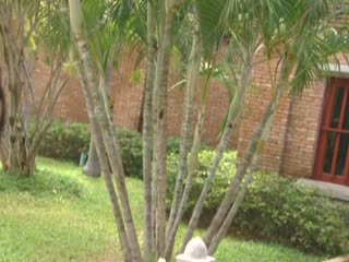 三级片在线观看一区二区二区-欧美日韩亚洲a-成人AV