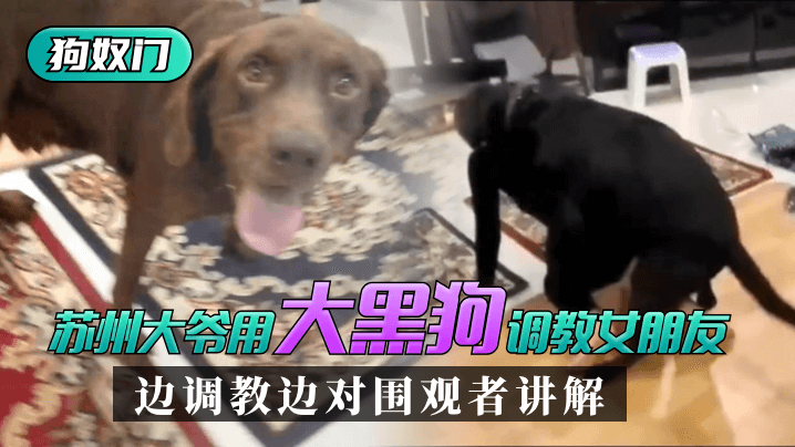 国产区一区二区在线观看-黄色国产在线视频-成人AV