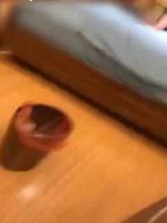 巜美国禁忌性轻佻寡妇3-91九色国产-成人AV