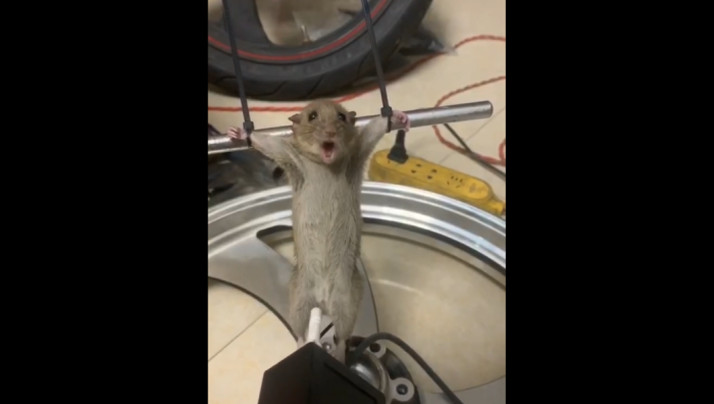 少妇被按摩-国产成人精品一区一区一区-成人AV