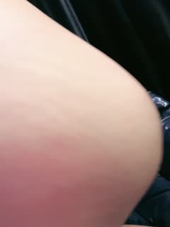 凤凰于飞免费观看完整版-日韩久久久一区二区-成人AV