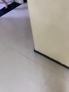 亚洲高清无码在线观看视频-免费视频xxx-成人AV