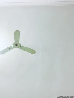 嫩草亚洲乱伦视频-精品免费国产视频-成人AV